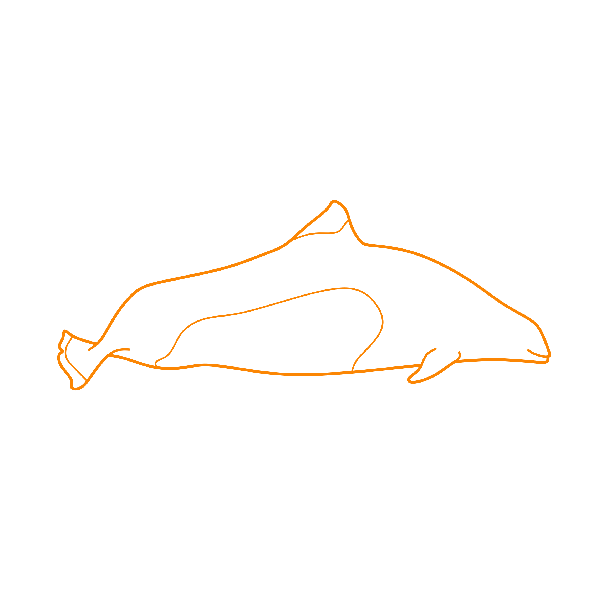 Animals Toothed Whales Dalls Porpoise Simple Line Art Svg Free Vectors